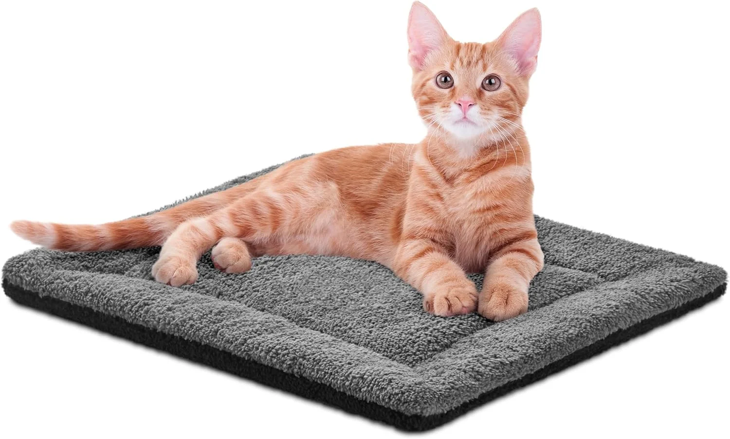 Senior cat sleeping comfortably on a self-warming mat