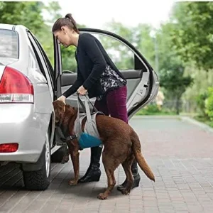 Kurgo Up & About Dog Lifter - Elderly Dog Mobility Aid - Comfortable Padded Chest - Adjustable Support Straps - Lifting Harness for Car Entry & Easy Stair Climbing view 6
