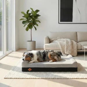 Laifug Orthopedic Dog Beds for Large Dogs,7" Memory Foam Dog Beds,Durable Water Proof Liner Removable and Washable, Nonskid Bottom, Slate Grey 50"x36"x10" view 2