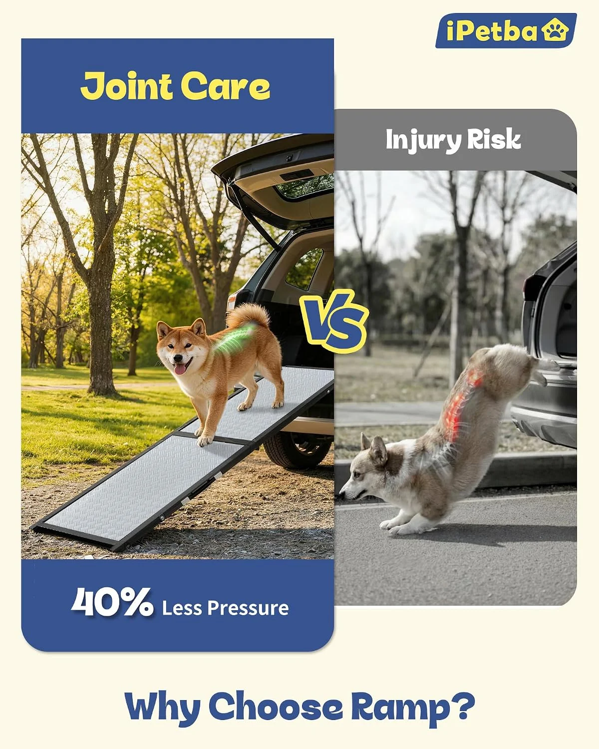 Dog walking on non-slip textured rug surface ramp