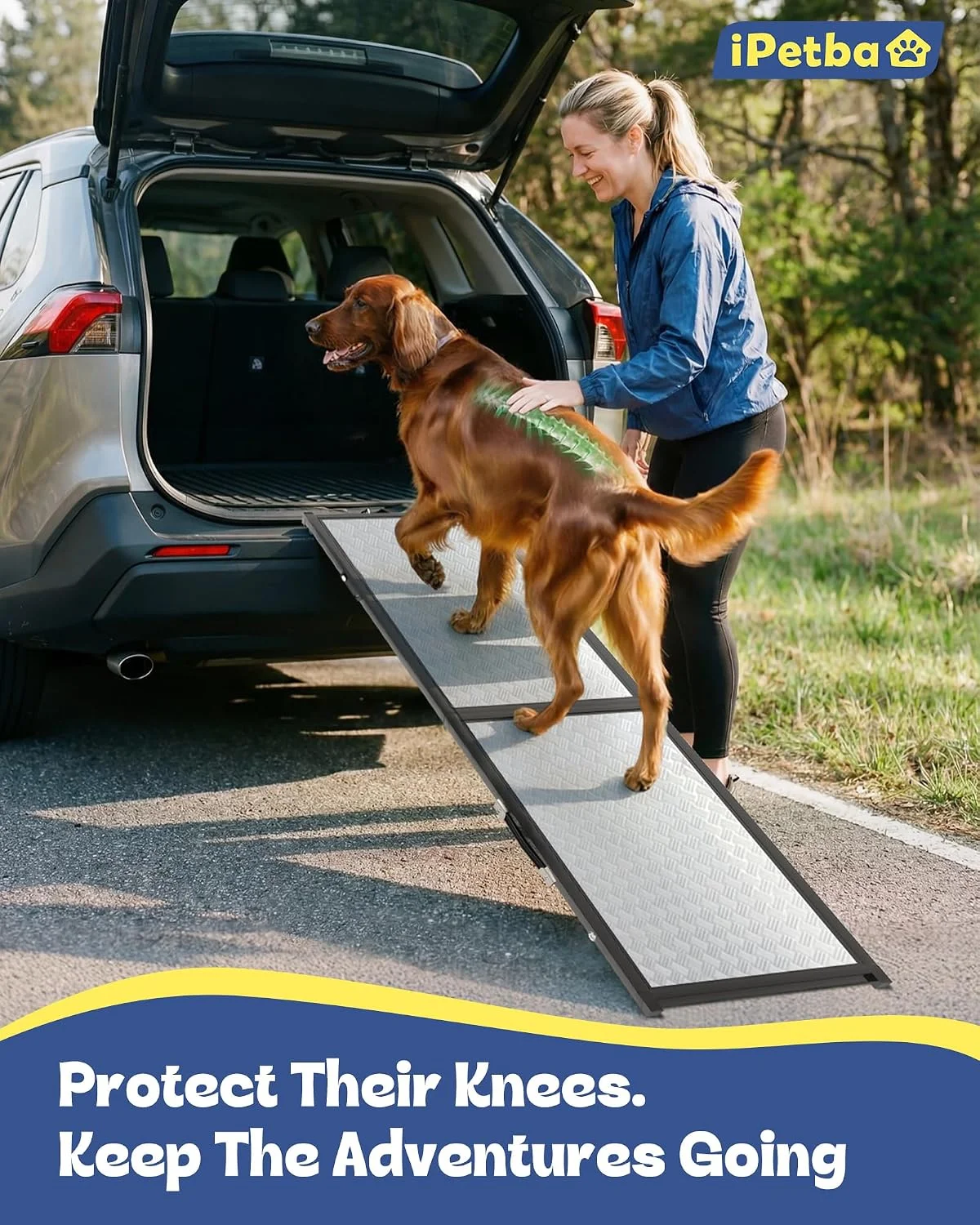 Heavy-duty ramp supporting a large dog