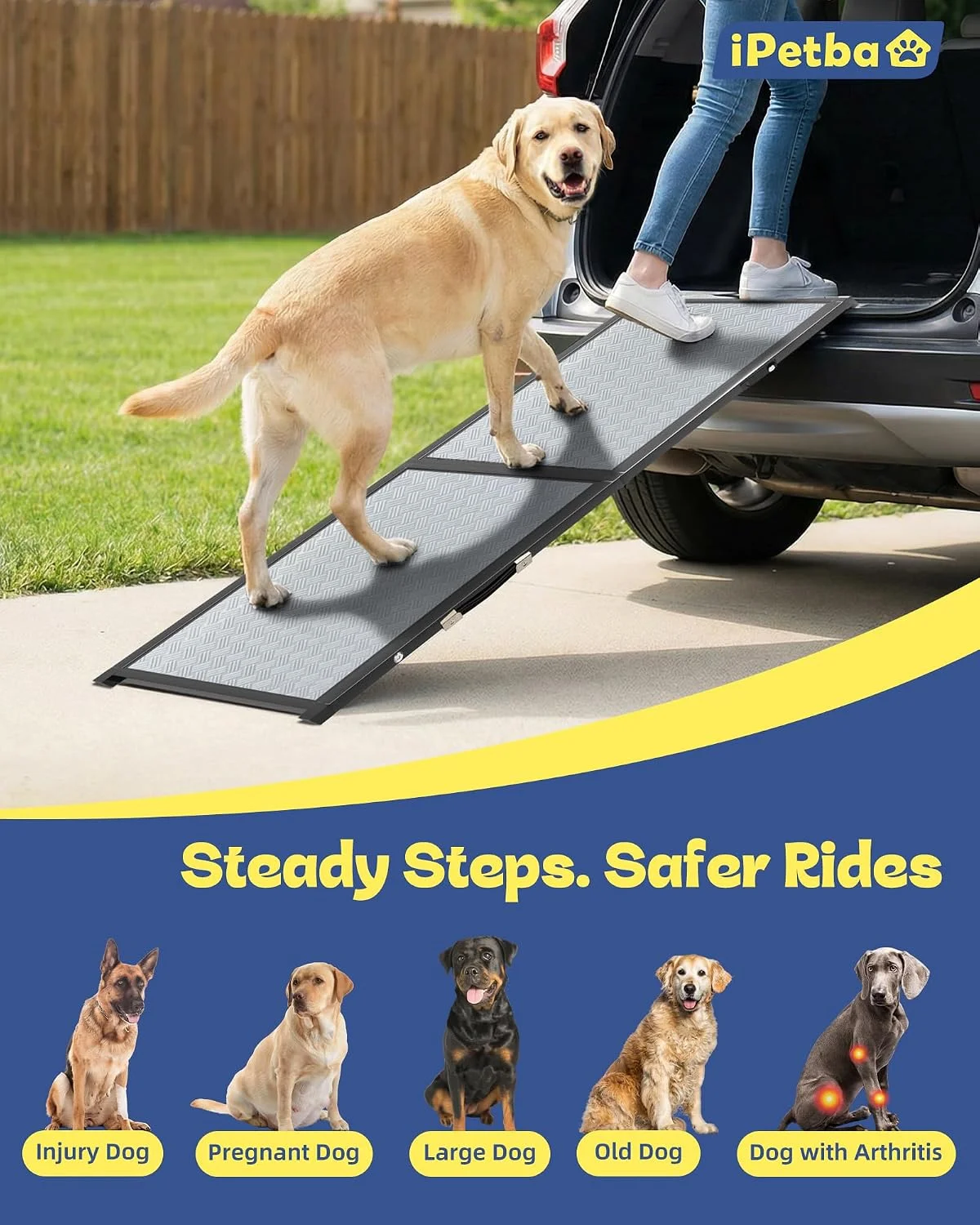 Owner folding the dog ramp for car storage