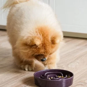 LE TAUCI Ceramic Slow Feeder Dog Bowls Small Breed, 0.6 Cups Dog Food Dish for Fast Eaters, Puzzle Bowl for Small Dogs and Cats,Purple view 2