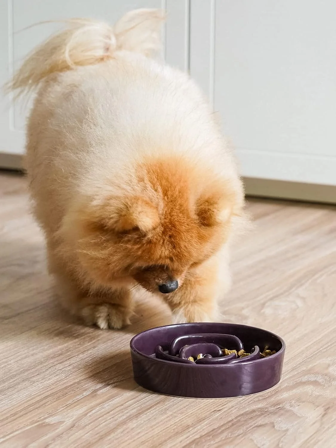Safe ceramic material for pets