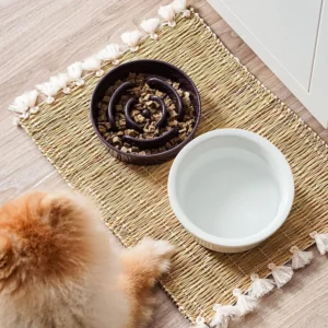 LE TAUCI Ceramic Slow Feeder Dog Bowls Small Breed, 0.6 Cups Dog Food Dish for Fast Eaters, Puzzle Bowl for Small Dogs and Cats,Purple