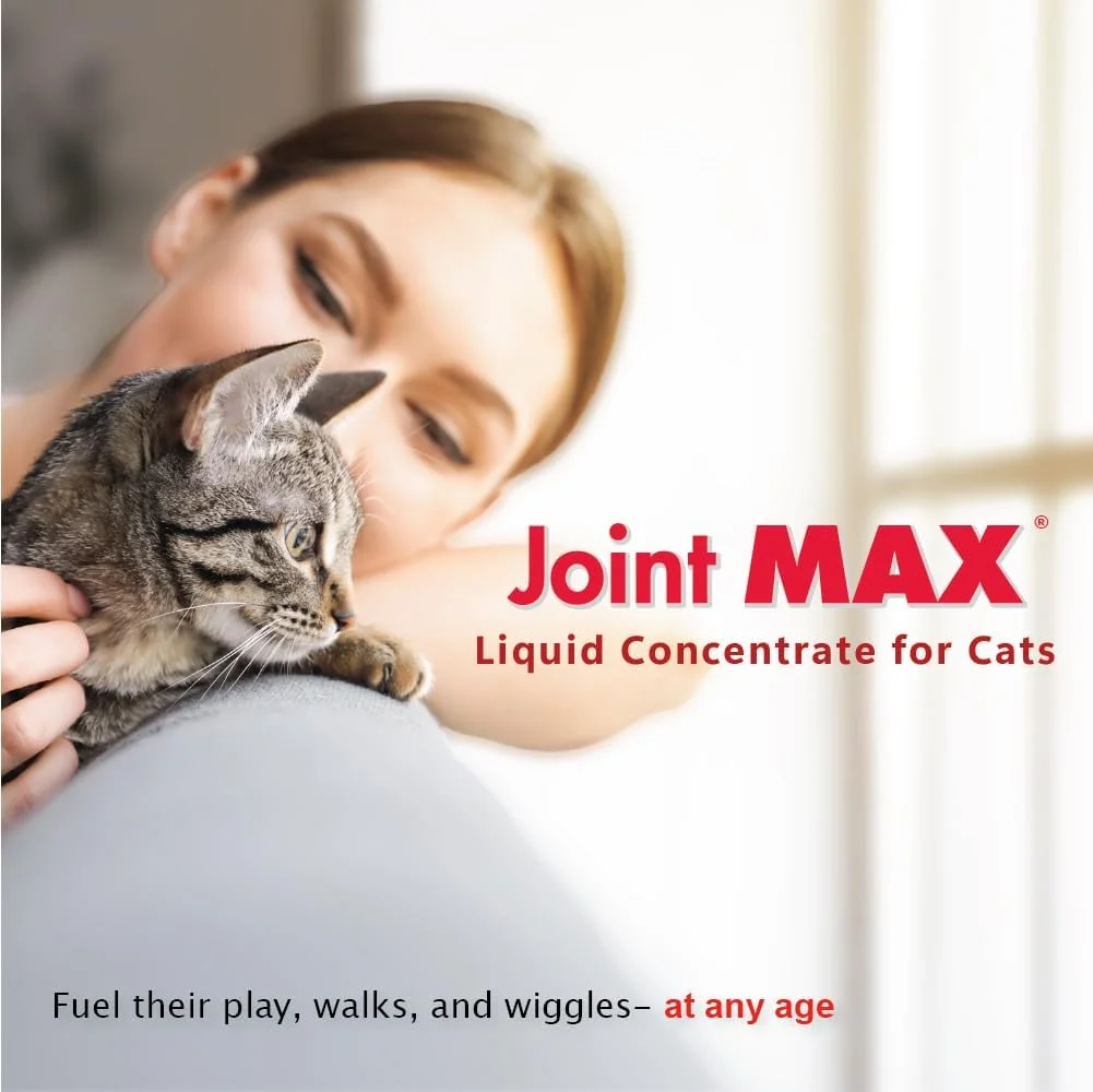 Glucosamine and Chondroitin cat supplement bottle