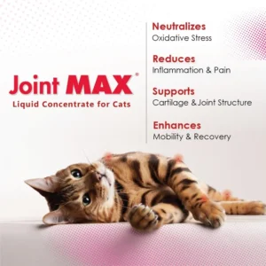 Liquid for Cats – Joint & Mobility Support Supplement with Glucosamine, MSM, Chondroitin, Omega-3 – Helps Ease Stiffness & Discomfort – 2 fl oz – Made in USA – NASC Certified view 3