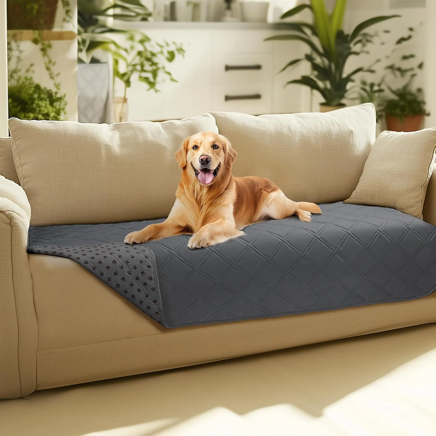 Premium waterproof sofa cover for senior pets