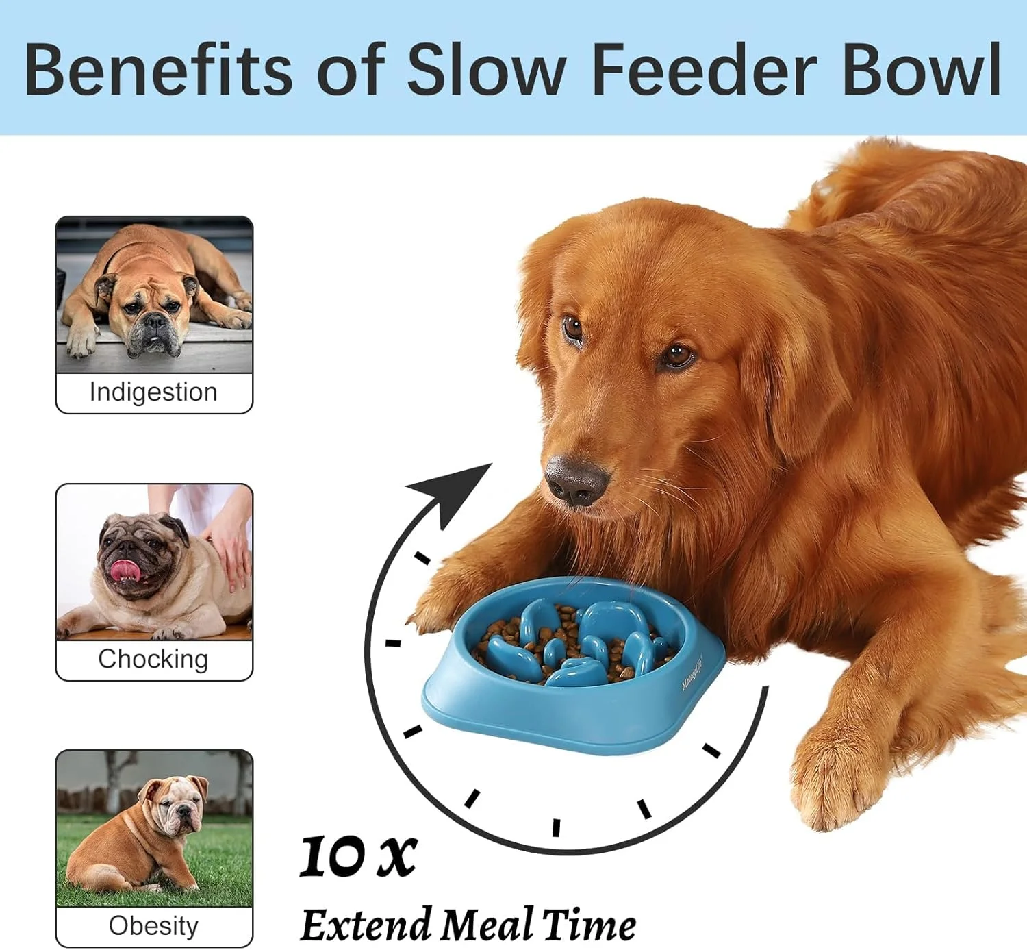 Dog eating slowly from maze feeder