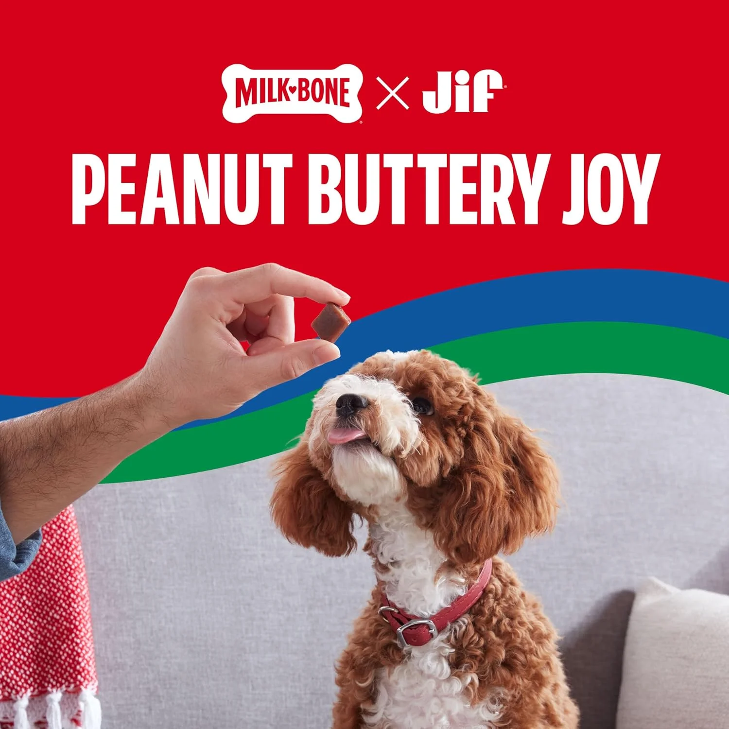 Soft chew dog treats for seniors