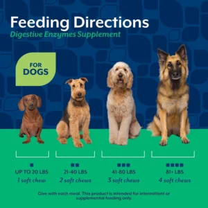 NaturVet – Digestive Enzymes - Plus Probiotics & Prebiotics – Helps Support Diet Change & A Healthy Digestive Tract – for Dogs (Soft Chews, 70 Count) view 6