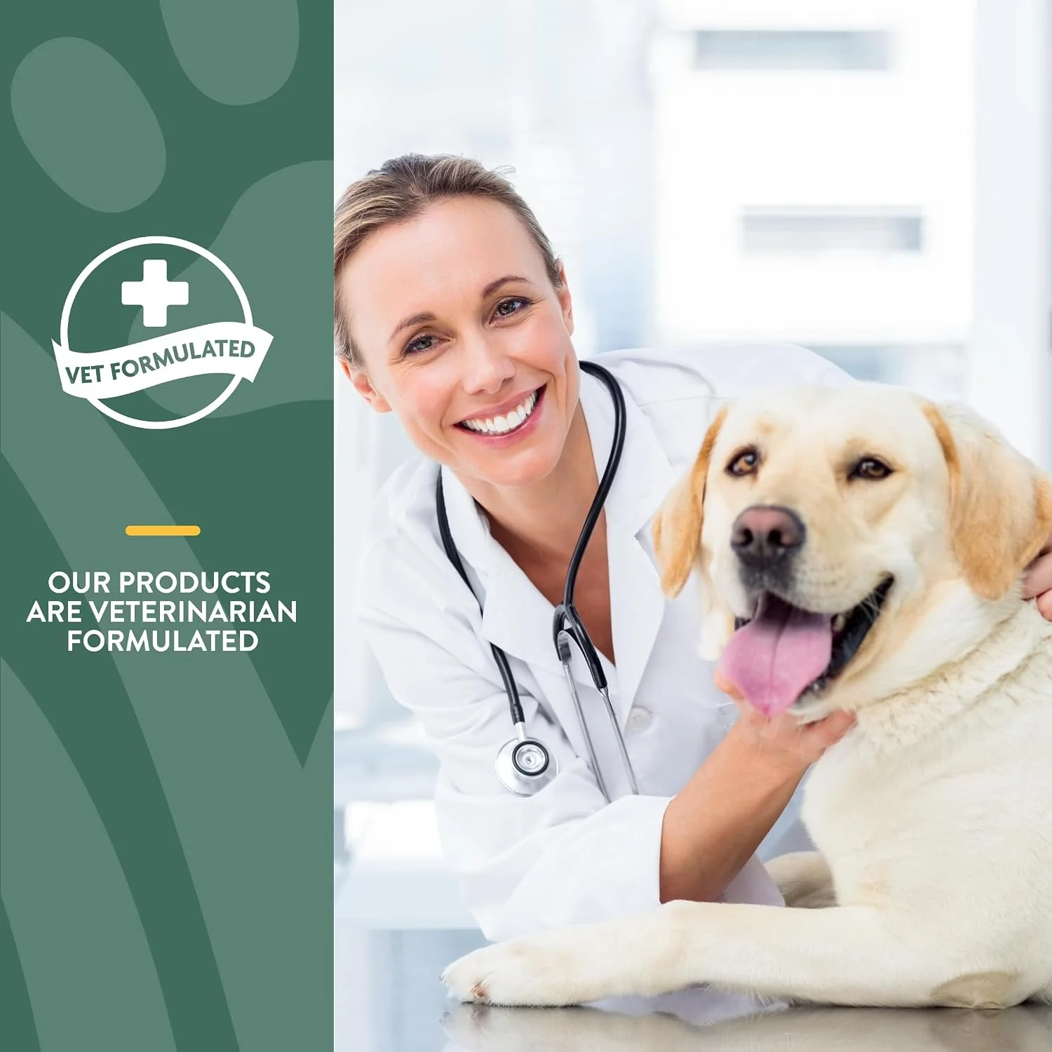 Dog supplement container