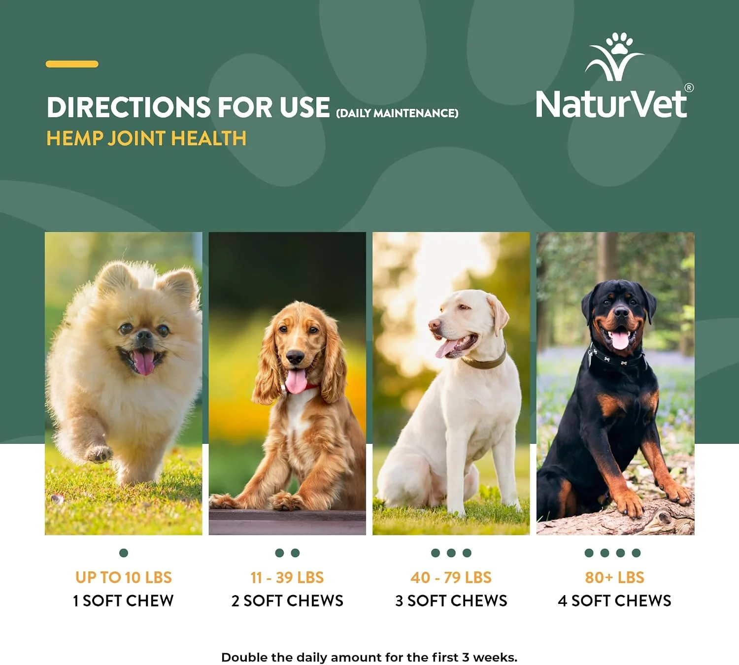 Veterinarian approving pet supplements