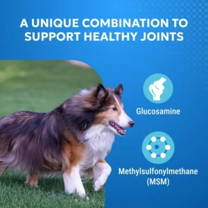 Nutramax Cosequin Elements Dogs Joint Health Supplement, Contains Glucosamine for Dogs, MSM, Supports Healthy Joints, For All Breeds and Sizes, Chewable Tablets, 75 Count view 3