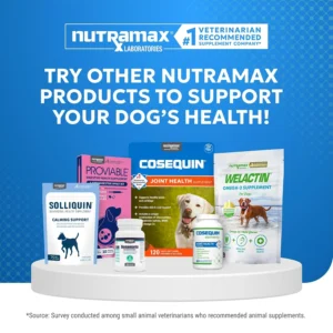 Nutramax Cosequin Elements Dogs Joint Health Supplement, Contains Glucosamine for Dogs, MSM, Supports Healthy Joints, For All Breeds and Sizes, Chewable Tablets, 75 Count view 6