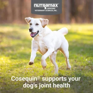 Nutramax Cosequin for Dogs Joint Health Supplement, Contains Glucosamine for Dogs, Plus Chondroitin and MSM, Supports Healthy Joints, Chewable Tablets, 60 Count view 4