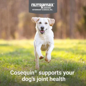Nutramax Cosequin for Dogs Joint Health Supplement, Contains Glucosamine, Plus Chondroitin, MSM and Omega-3s, Supports Joint and Skin and Coat Health, Soft Chews, 120 Count view 3