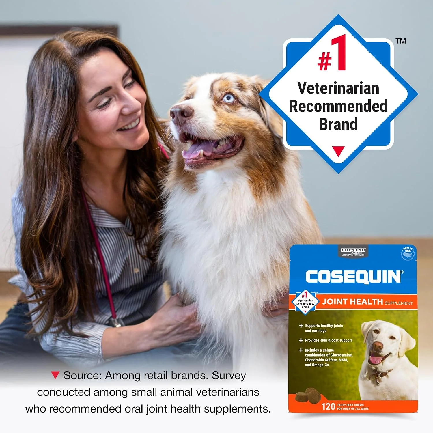 Owner feeding their dog a supplement