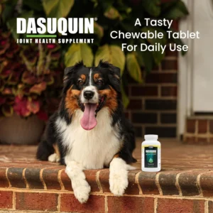 Nutramax Dasuquin for Large Dogs, Joint Health Supplement, Contains Glucosamine for Dogs, Plus Chondroitin, ASU, MSM and More, Supports Healthy Joints, Chewable Tablets, 84 Count view 4