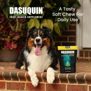 Nutramax Dasuquin for Large Dogs, Joint Health Supplement, Contains Glucosamine for Dogs, Plus Chondroitin, ASU, MSM and More, Supports Healthy Joints, Soft Chews, 84 Count view 4