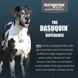 Nutramax Dasuquin for Large Dogs, Joint Health Supplement, Contains Glucosamine for Dogs, Plus Chondroitin, ASU, MSM and More, Supports Healthy Joints, Soft Chews, 84 Count view 6