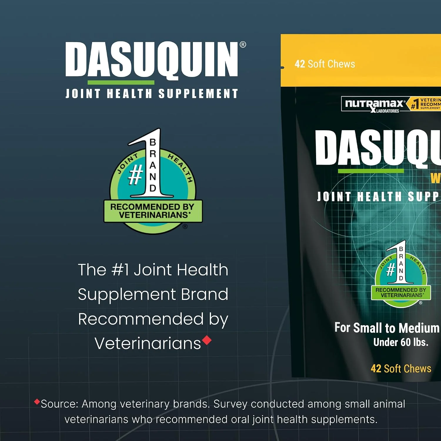 Healthy dog joints diagram