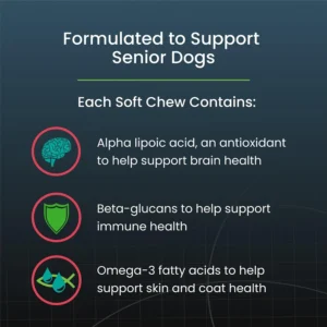 Nutramax Dasuquin Joint Health Supplement for Small to Medium Senior Dogs – for Immune Support, Skin & Coat Health, and Brain Health, 84 Soft Chews view 3