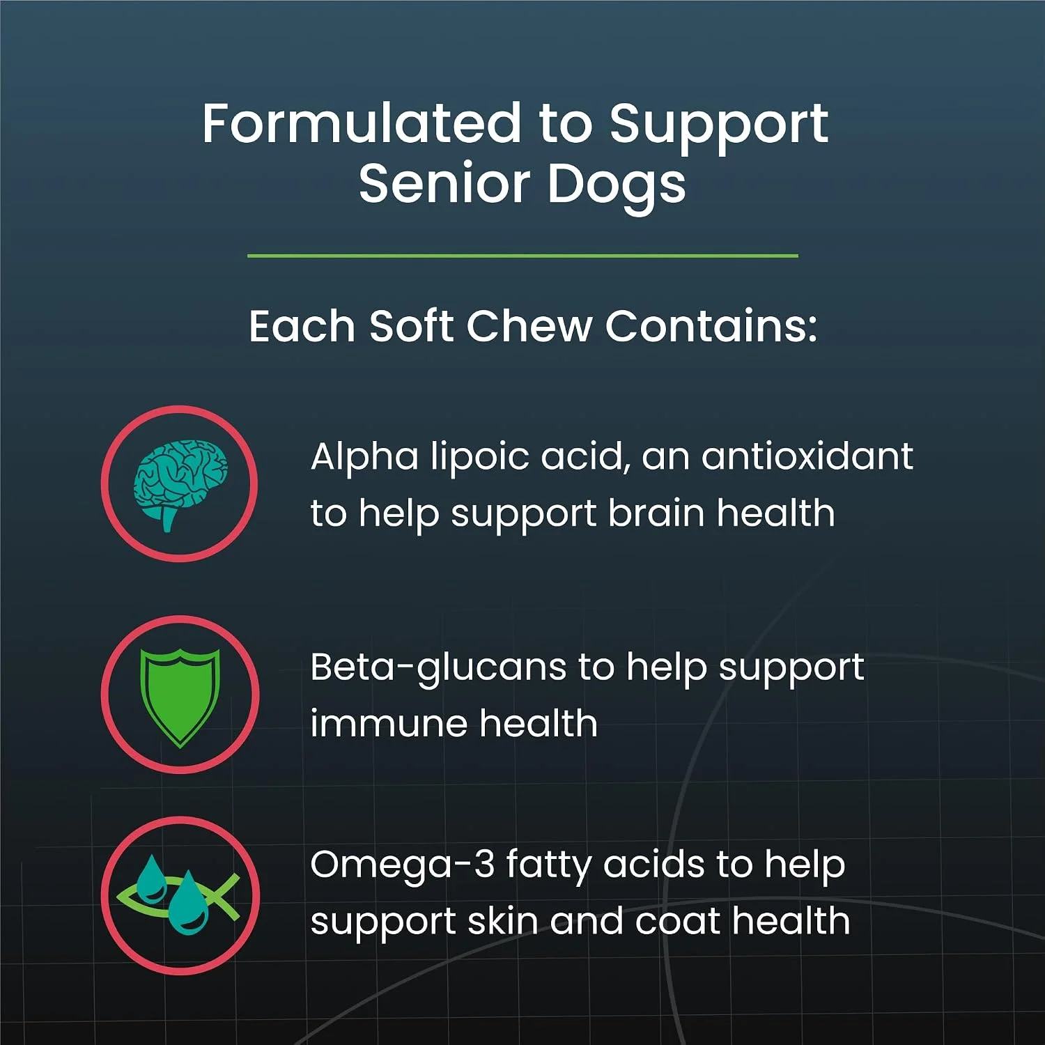Healthy senior dog coat and skin