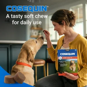 Nutramax Laboratories Cosequin DS Plus MSM Professional Line for Dogs, 60 Soft Chews view 4
