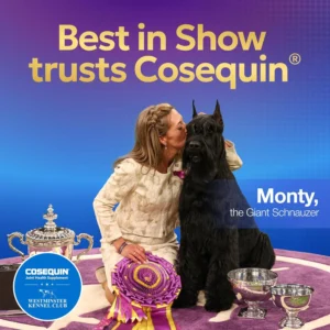 Nutramax Laboratories Cosequin DS Plus MSM Professional Line for Dogs, 60 Soft Chews view 6