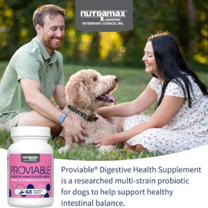 Nutramax Proviable Probiotics for Dogs, Daily Digestive Health Supplement with Multiple Strains of Bacteria, Dog Probiotics Plus Prebiotics, 60 Chewable Tablets view 3