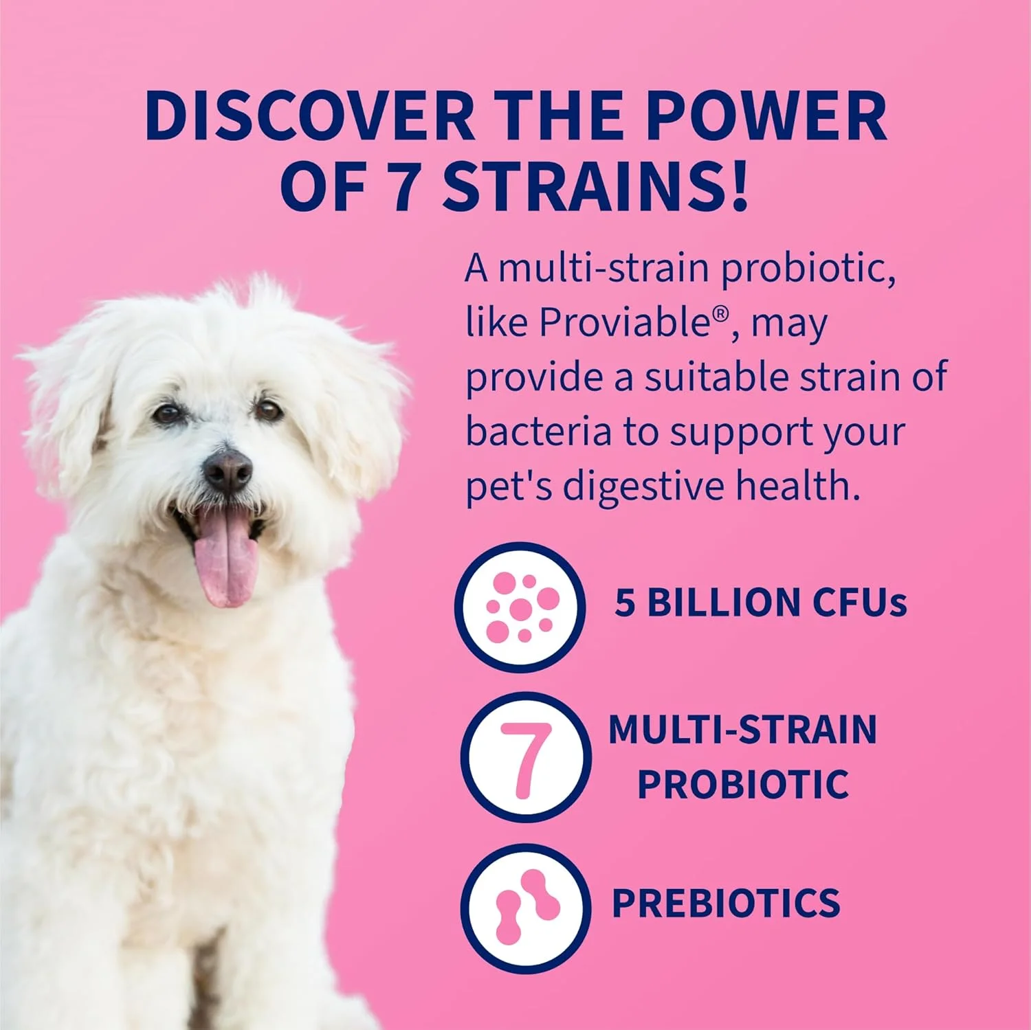 Dog eating food with a supplement