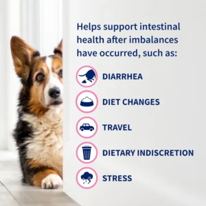 Nutramax Proviable Probiotics for Dogs, Daily Digestive Health Supplement with Multiple Strains of Bacteria, Dog Probiotics Plus Prebiotics, 60 Chewable Tablets view 5