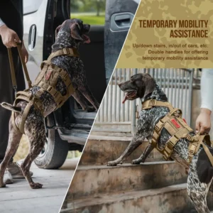 OneTigris Breathable Dog Lift Harness for Large Medium Sized Dogs, Dog Sing for Hind Leg Support, Dogs Hip Support Brace Front Leg Vrace view 5