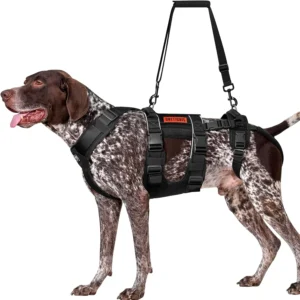OneTigris Breathable Dog Lift Harness for Large Medium Sized Dogs, Dog Sing for Hind Leg Support, Dogs Hip Support Brace Front Leg Vrace