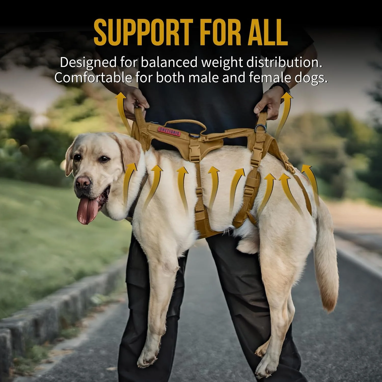 High quality buckles and D-rings on pet harness
