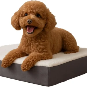 Orthopedic Dog Bed - 2-Layer Memory Foam Crate Mat with Machine Washable Sherpa Cover - 20x15 Pet Bed for Small Dogs Up to 20lbs by PETMAKER (Gray) view 1