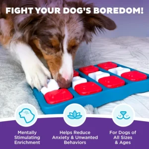 Outward Hound by Nina Ottosson Dog Brick – Interactive Treat Puzzle Enrichment Toy, Level 2 Intermediate view 2