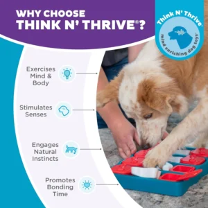 Outward Hound by Nina Ottosson Dog Brick – Interactive Treat Puzzle Enrichment Toy, Level 2 Intermediate view 6