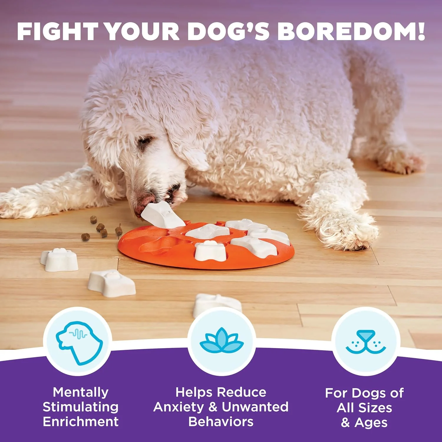 Dog lifting bone pieces to find hidden treats