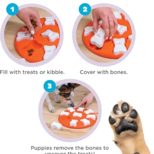 Outward Hound by Nina Ottosson Dog Smart Treat Puzzle Enrichment Toy, Level 1 Beginner, Orange view 3