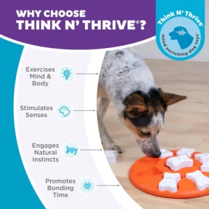 Outward Hound by Nina Ottosson Dog Smart Treat Puzzle Enrichment Toy, Level 1 Beginner, Orange view 6