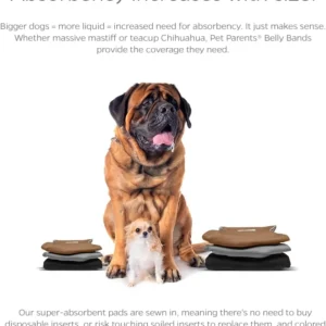 Pet Parents® Washable Belly Bands for Dogs (3pack) + Extendrs® Durable Dog Diapers - Premium Male Dog Diapers & Wraps (X-Small, Natural) view 4