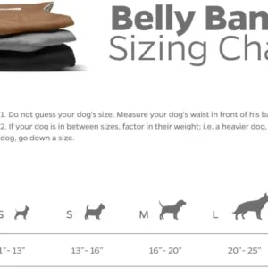Pet Parents® Washable Belly Bands for Dogs (3pack) + Extendrs® Durable Dog Diapers - Premium Male Dog Diapers & Wraps (X-Small, Natural) view 6