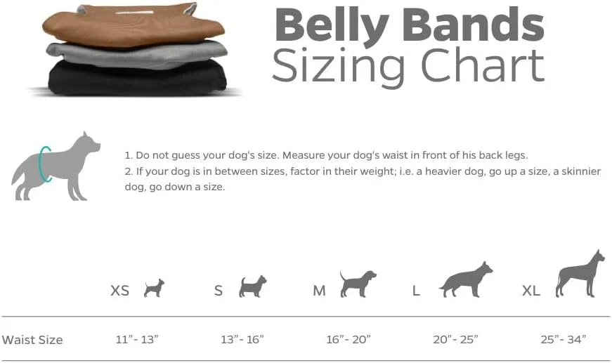 Measuring your dog for belly bands