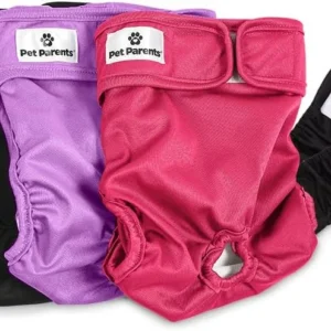 Pet Parents® Washable Dog Diapers (3pack) + Extendrs® of Durable Doggie Diapers, Premium Dog Diapers Female (Large, Princess) view 1