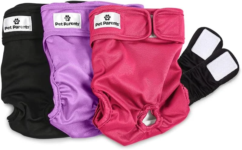 Happy senior dog wearing comfortable Pet Parents washable diaper