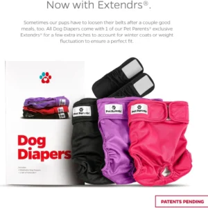Pet Parents® Washable Dog Diapers (3pack) + Extendrs® of Durable Doggie Diapers, Premium Dog Diapers Female (Large, Princess) view 2