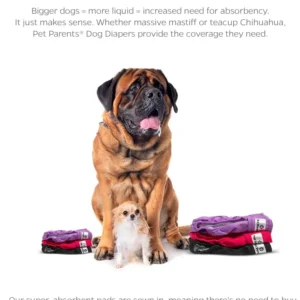 Pet Parents® Washable Dog Diapers (3pack) + Extendrs® of Durable Doggie Diapers, Premium Dog Diapers Female (Large, Princess) view 4