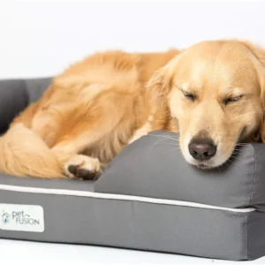 PetFusion Ultimate Dog Bed, Orthopedic Memory Foam, Multiple Sizes and Colors, Medium Firmness Pillow, Waterproof Liner, YKK Zippers, Breathable 35% Cotton Cover view 7